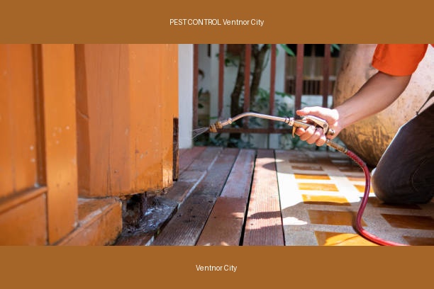PEST CONTROL Ventnor City